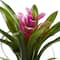 8&#x22; Purple Tropical Bromeliad Arrangement in Angled Vase